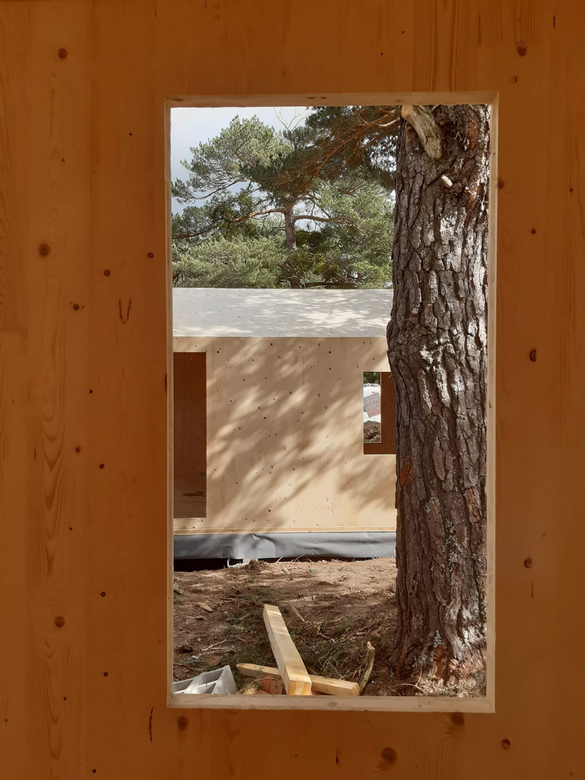 alojamientos-turistico-hayedo-tejera-negra-06